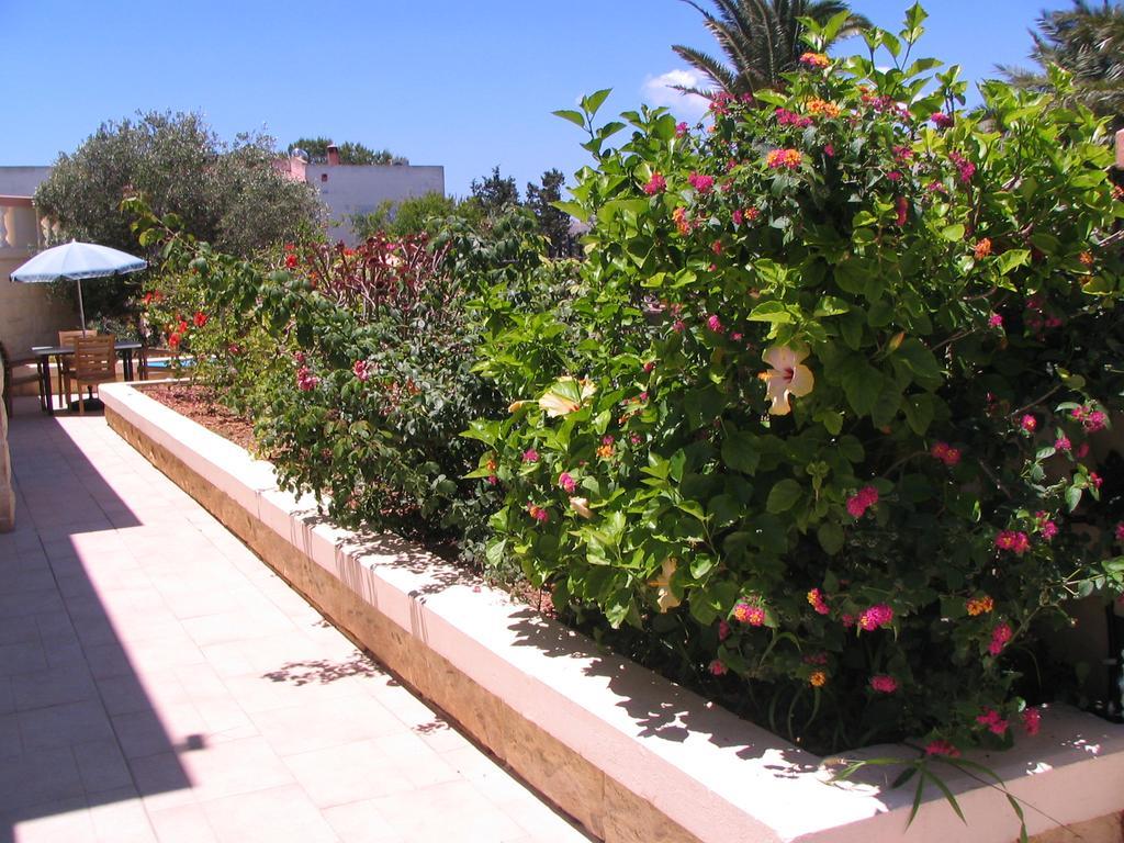 Tranquil Villa Apartments Units Mellieħa Exterior foto